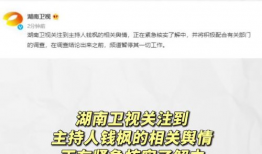 娱乐圈吃瓜文件大全,吃瓜文件大全深度解读